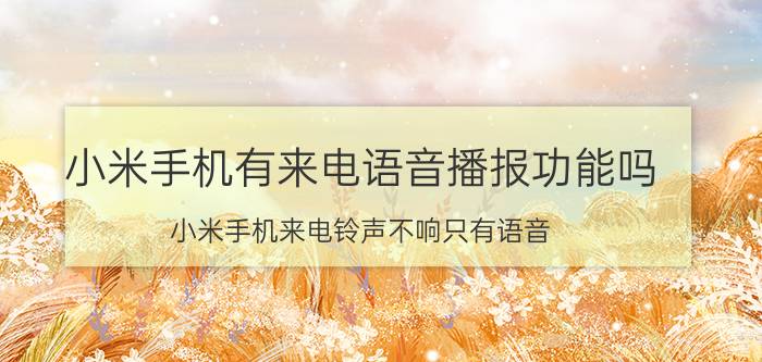 小米手机有来电语音播报功能吗 小米手机来电铃声不响只有语音？